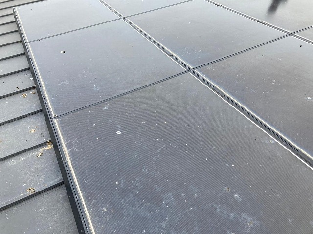 モジュールに付着した鳥の糞